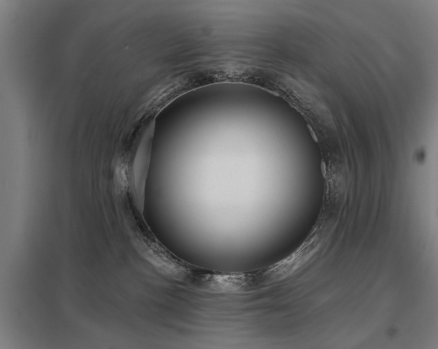 X0000098050188200803281503