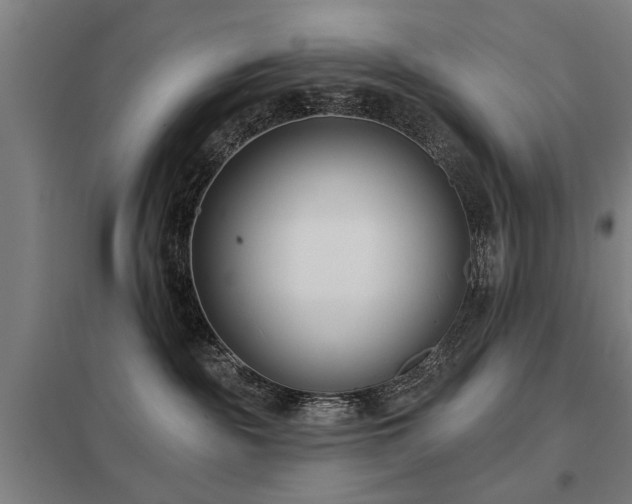 X0000098050189200803281503