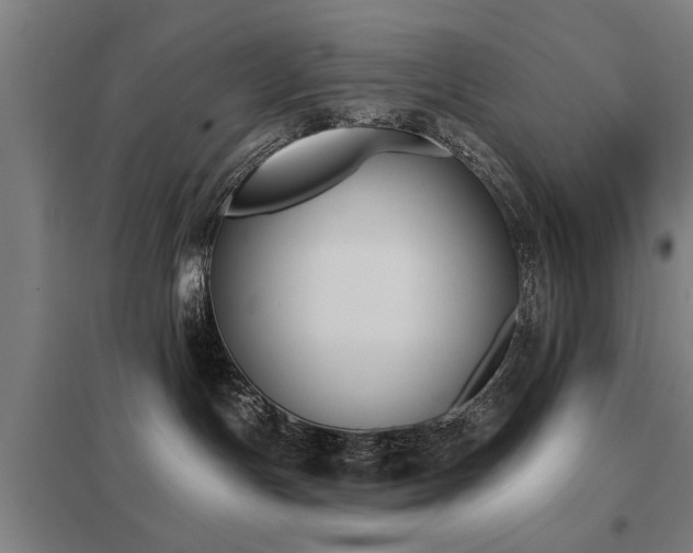 X0000098050191200803281503