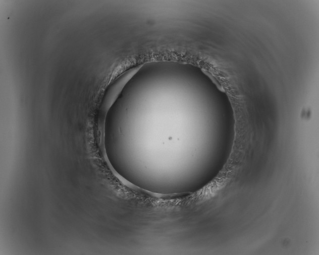 X0000098050192200803281503