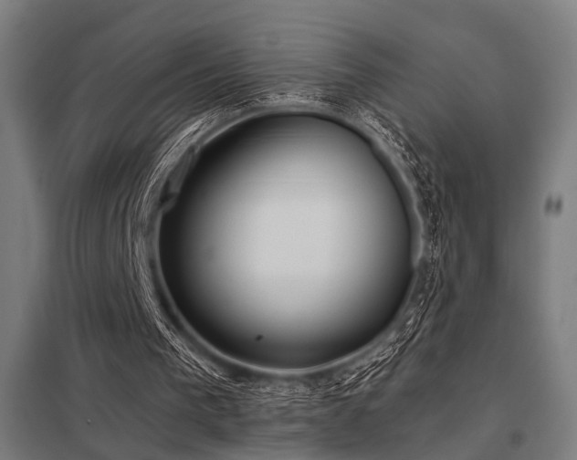 X0000098050193200803281503