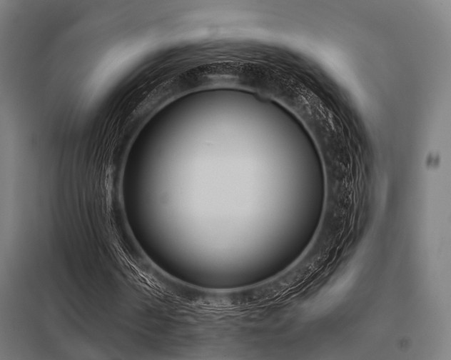 X0000098050194200803281503