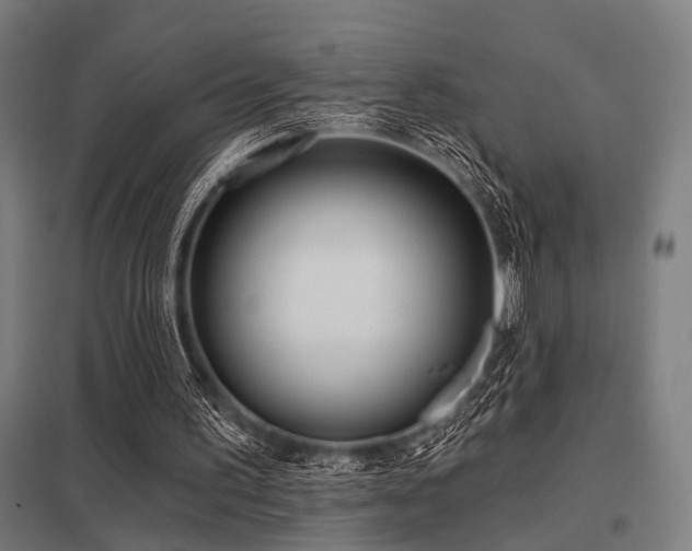 X0000098050195200803281503