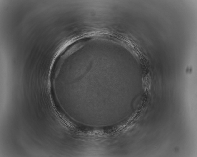 X0000098050196200803281503