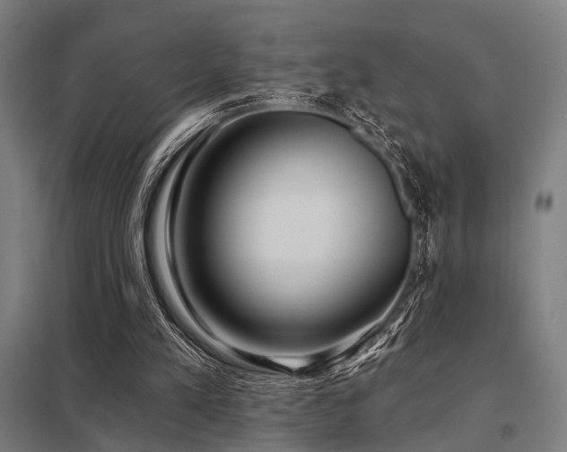 X0000098050197200803281502