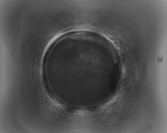 X0000098050200200803281502