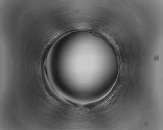 X0000098050201200803281502