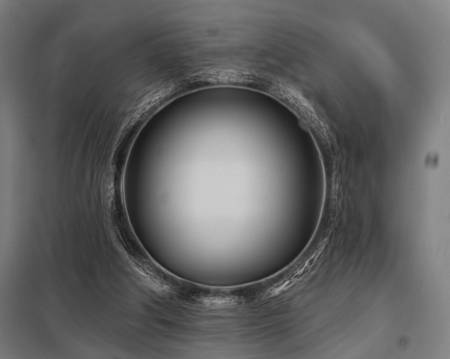 X0000098050202200803281502