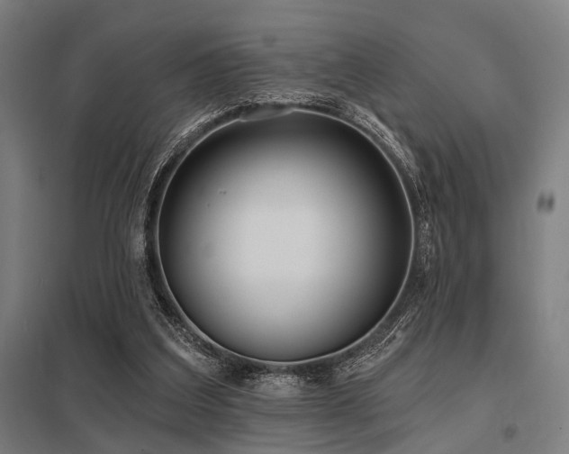 X0000098050203200803281502