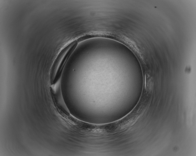 X0000098050204200803281502