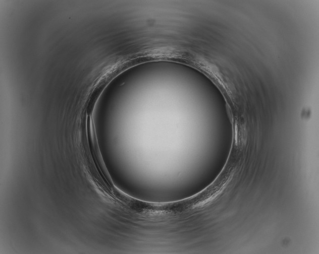 X0000098050205200803281502