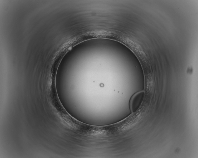 X0000098050206200803281502