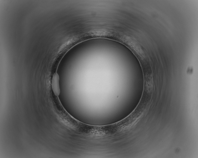 X0000098050207200803281502