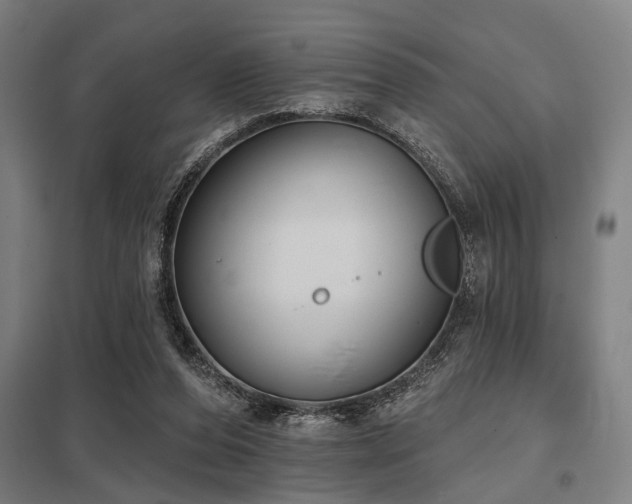 X0000098050208200803281502