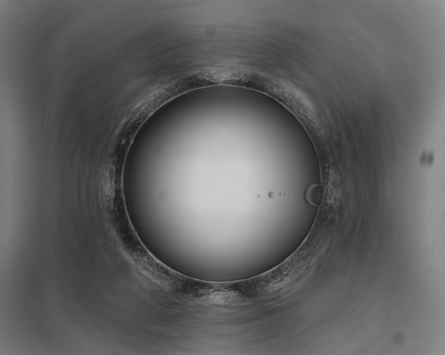 X0000098050210200803281502