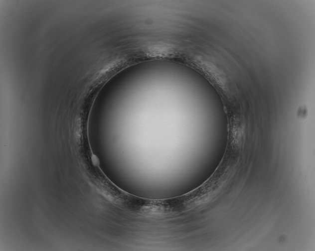 X0000098050211200803281502