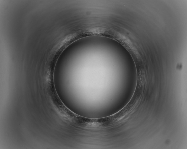 X0000098050212200803281502