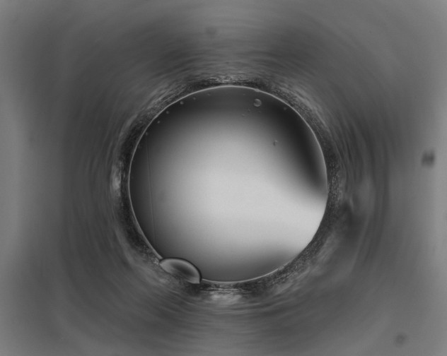 X0000098050214200803281502