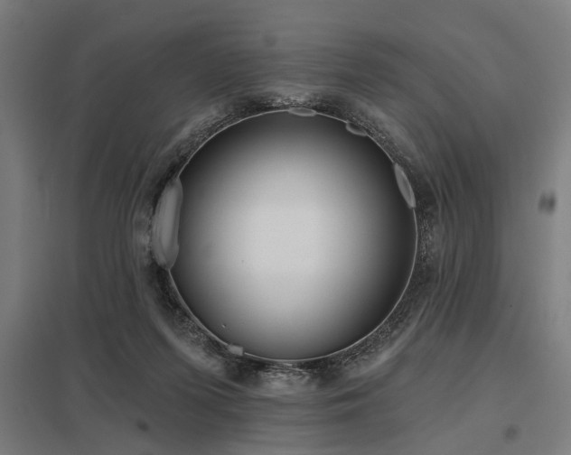 X0000098050215200803281502