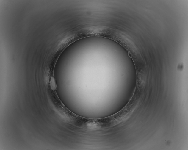 X0000098050216200803281502