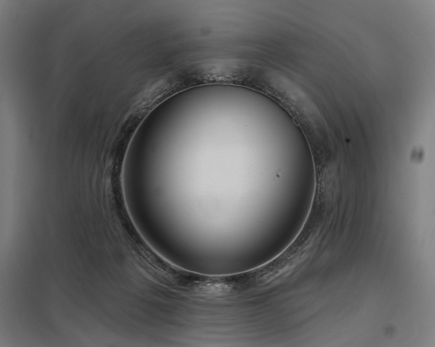 X0000098050217200803281502