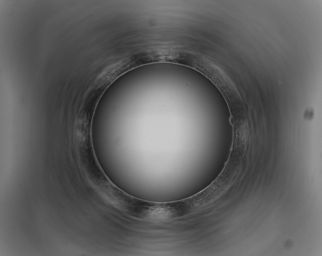 X0000098050218200803281502