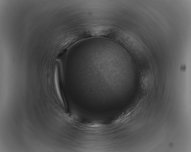 X0000098050219200803281502