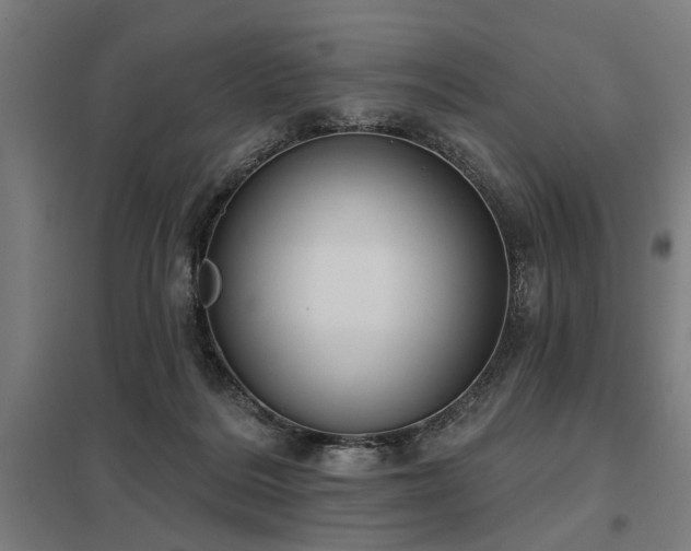 X0000098050220200803281502