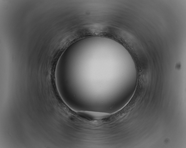 X0000098050221200803281502