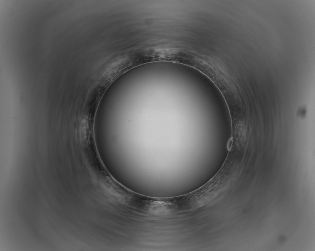 X0000098050222200803281502