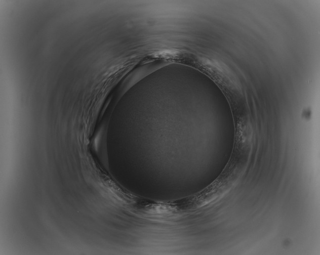 X0000098050223200803281502