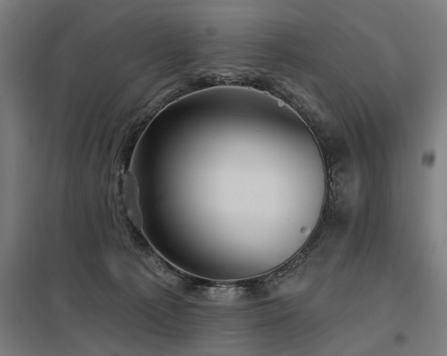 X0000098050225200803281502