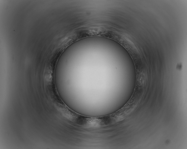 X0000098050226200803281502