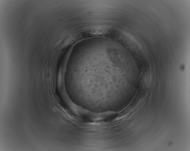 X0000098050227200803281502