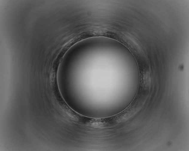 X0000098050228200803281502