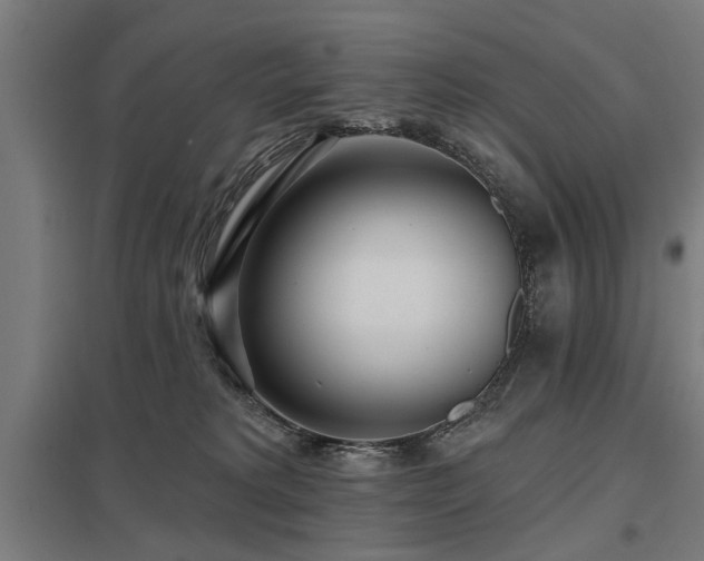 X0000098050229200803281502