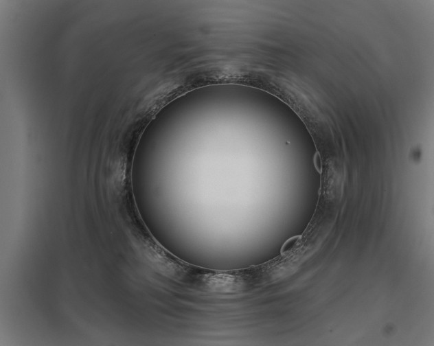 X0000098050230200803281502