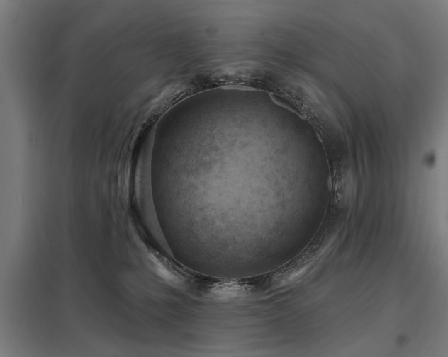 X0000098050231200803281502