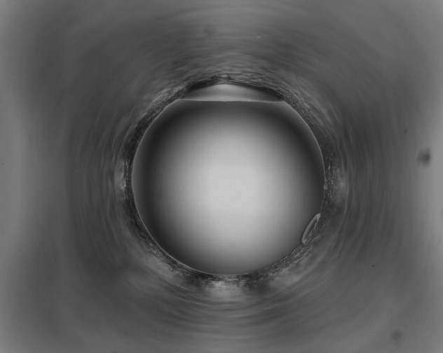 X0000098050232200803281502