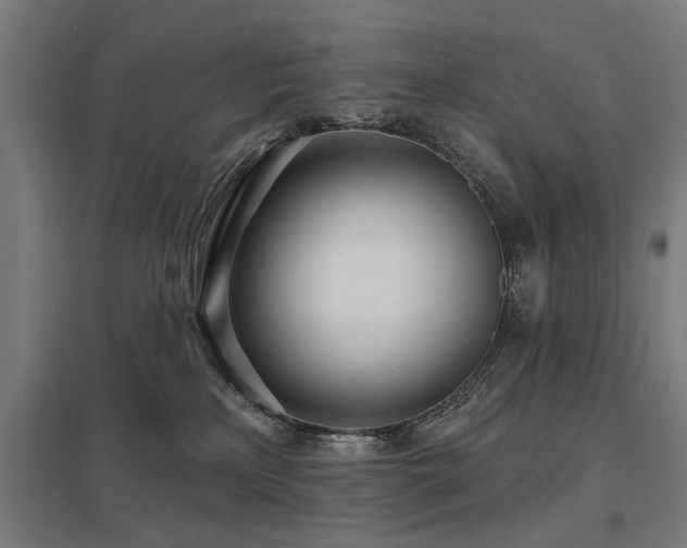 X0000098050233200803281502