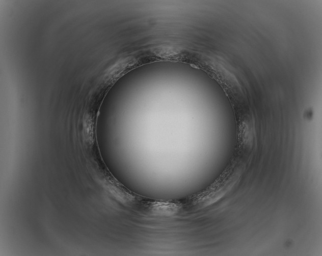 X0000098050234200803281502