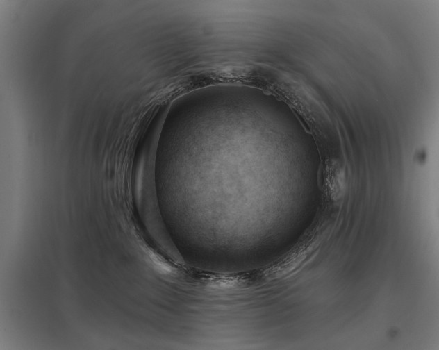 X0000098050235200803281502