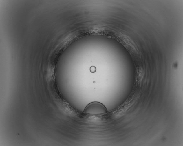 X0000098050236200803281502