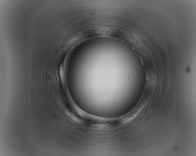 X0000098050237200803281502