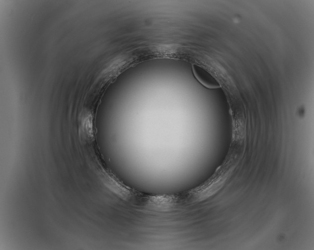 X0000098050238200803281502