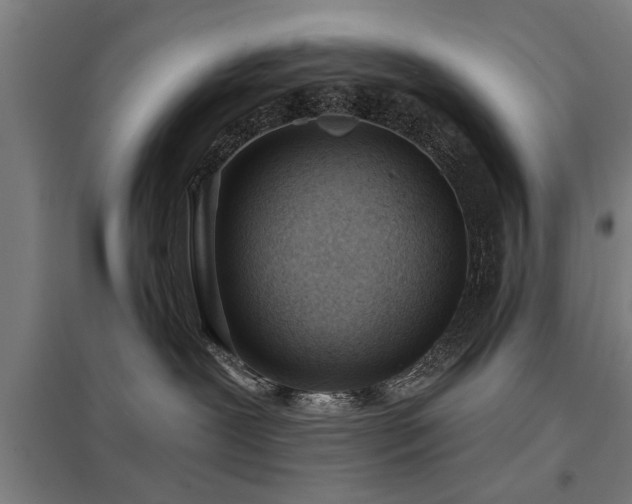 X0000098050239200803281502