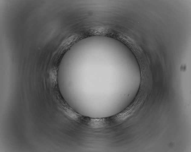 X0000098050240200803281502