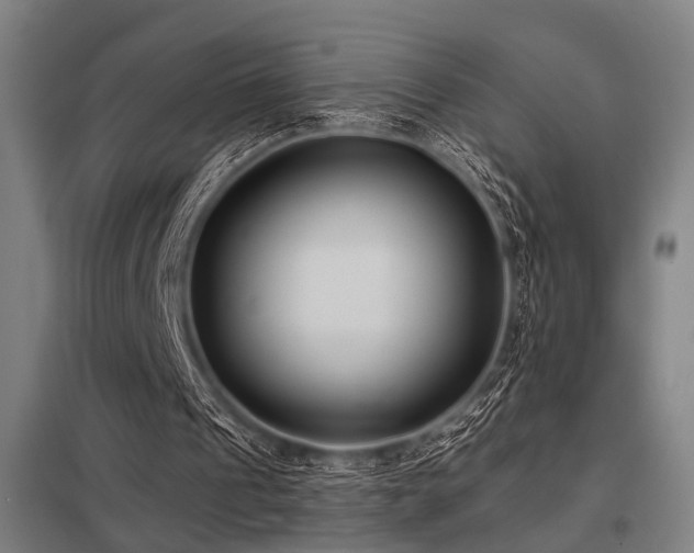 X0000098050241200803281501