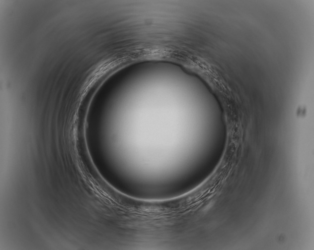 X0000098050242200803281501