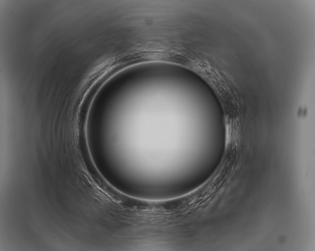 X0000098050243200803281501